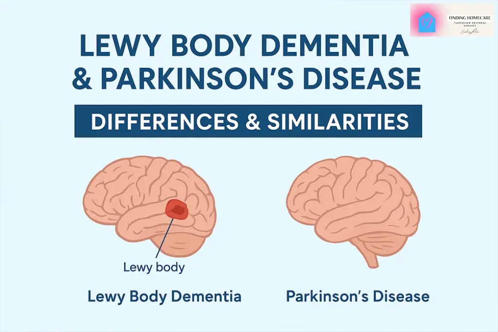 Lewy Body Dementia vs Parkinson’s Disease -Key Differences